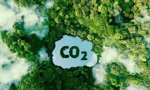 Việt Nam sẽ vận hành sàn giao dịch tín chỉ carbon vào năm 2028