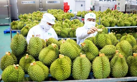 Xuất khẩu rau quả tăng gần 30%
