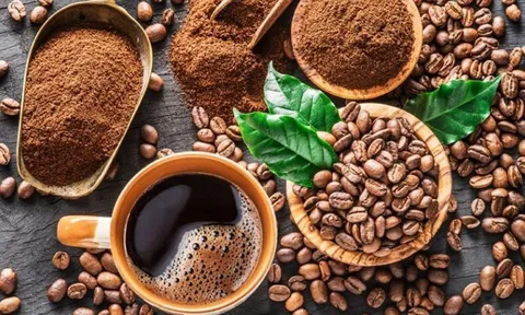Giá cà phê ngày 05/6: Giá cà phê ổn định, phiên đầu tuần có mức giá tốt