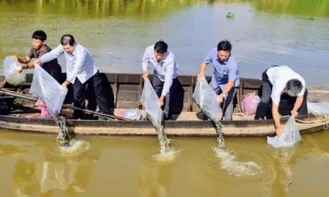 Hậu Giang và Bạc Liêu hưởng ứng Ngày môi trường thế giới với nhiều hoạt động thiết thực