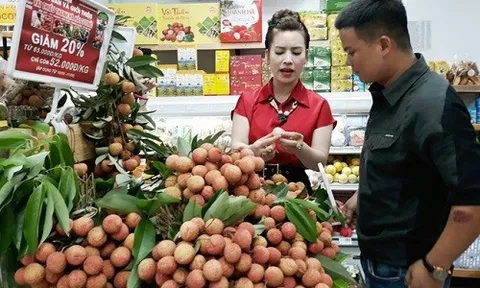 Gần 100 tấn vải thiều xuất đến các thị trường giá trị cao trong 5 ngày