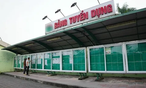 10 nhóm nghề nào đang giảm tuyển dụng lao động nhiều nhất?