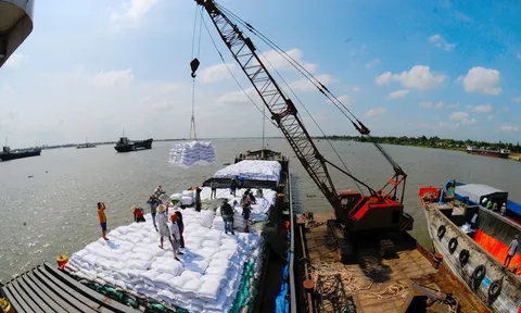 Xuất khẩu gạo Việt Nam 5 tháng tăng trưởng mạnh, vượt 3 triệu tấn