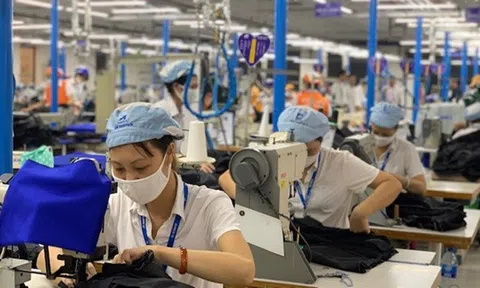 6 tháng đầu năm, người lao động thu nhập bình quân 7 triệu đồng/tháng