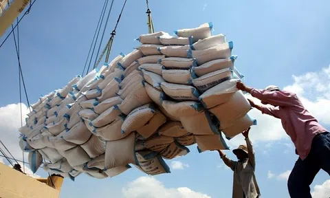 Việt Nam là nhà cung cấp gạo lớn nhất vào thị trường Philippines