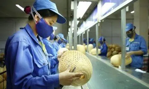 Làm thế nào để doanh nghiệp siêu nhỏ tiếp cận thị trường toàn cầu