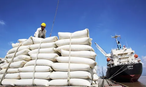 6 tháng đầu năm, giá trị xuất khẩu gạo ước đạt 2,3 tỷ USD