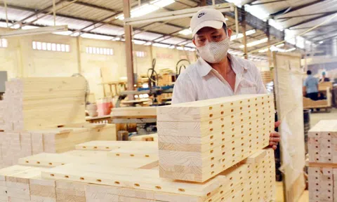 Việt Nam xuất khẩu hơn 6,4 tỷ USD hàng lâm sản