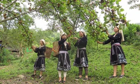 Tuyên Quang: Du lịch nông nghiệp đang phát triển mạnh ở huyện Na Hang