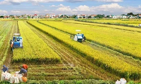 Cần chính sách đột phá để thu hút đầu tư phát triển nền "nông nghiệp xanh"