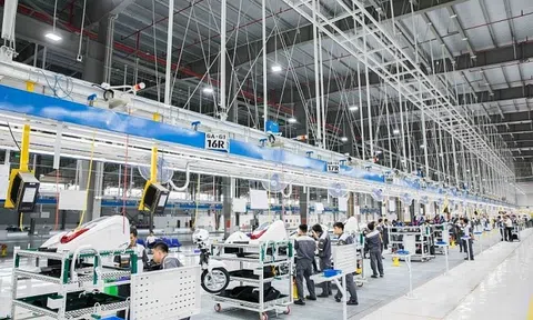 Hải Phòng thu ngân sách 6 tháng giảm hơn 15% do Vinfast ngừng sản xuất xe xăng