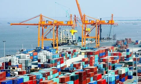 Tp HCM xuất nhập khẩu giảm hơn 20% trong 6 tháng đầu năm
