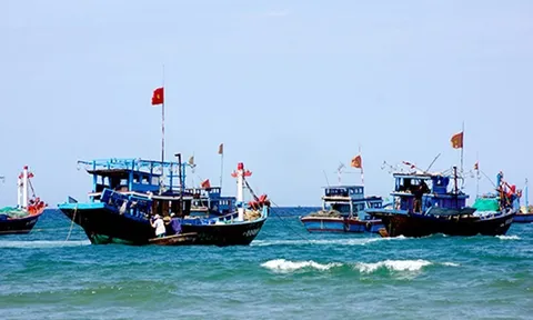 Nghệ An hỗ trợ và khuyến khích ngư dân tăng cường khai thác thuỷ sản vùng khơi