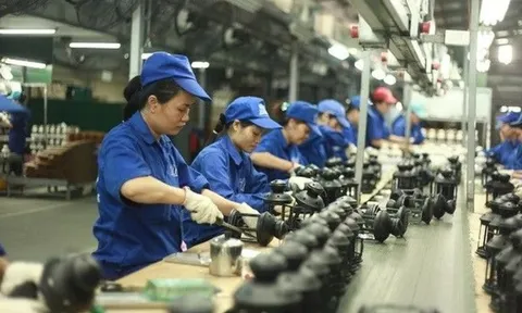 Dự báo có hơn 51 triệu lao động sẽ có việc làm trong quý 3/2023