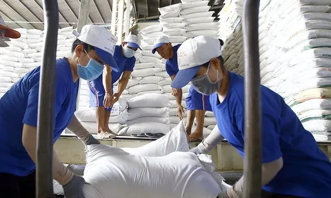 Ấn Độ cấm xuất khẩu gạo: Bộ Công Thương khuyến cáo doanh nghiệp