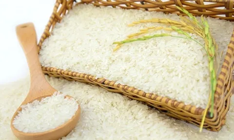 Giá lúa gạo hôm nay 28/7: Thị trường lúa gạo trong nước đi ngang, gạo xuất khẩu tiếp đà tăng mạnh