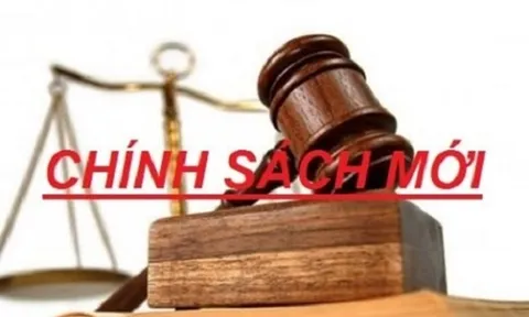 Loạt chính sách mới có hiệu lực từ tháng 8/2023