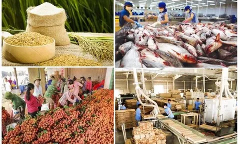 Xuất khẩu nông, lâm, thủy sản trong 7 tháng đạt hơn 29 tỷ USD