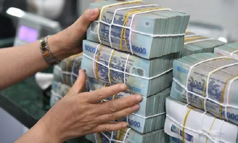 Ngành Thuế thu ngân sách nhà nước tháng 7 đạt 118.200 tỷ đồng
