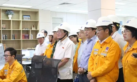 Cà Mau giảm thu 20% vì hoạt động kinh doanh khí không nộp thuế tại tỉnh