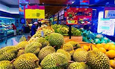 Vai trò quan trọng của Hợp tác xã và doanh nghiệp trong liên kết vùng phát triển kinh tế