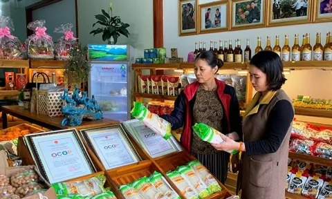 THANH HÓA: GIỚI THIỆU SẢN PHẨM OCOP VÀ ẨM THỰC DỊP NGHỈ LỄ QUỐC KHÁNH 2/9
