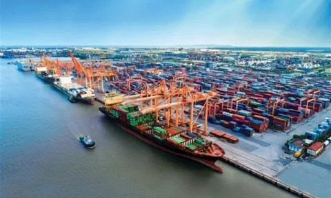 Đề xuất xây dựng cảng Cần Giờ trở thành cảng xanh đầu tiên của Việt Nam