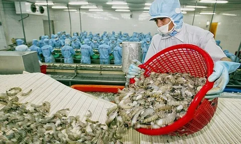 Nhiều cơ hội giao thương cho doanh nghiệp tại hội chợ thủy sản lớn nhất Việt Nam