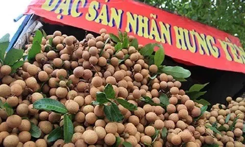 Nhãn lồng Hưng Yên tiếp cận gần hơn với người tiêu dùng cả nước