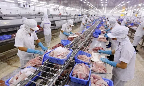 Cân bằng giữa khai thác và nuôi trồng để ngành thủy sản phát triển bền vững