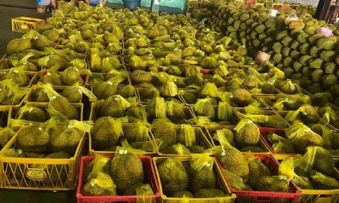 Xuất khẩu rau quả tiếp tục tăng cao kỷ lục