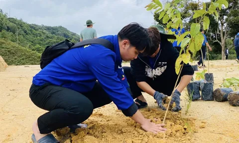 Kon Tum trồng mới 291.000 cây xanh sát biên giới