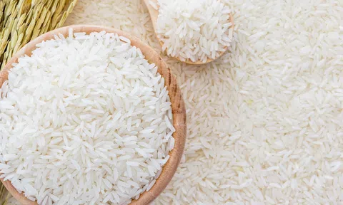 Làm gì để bình ổn sản xuất và xuất khẩu lúa gạo?