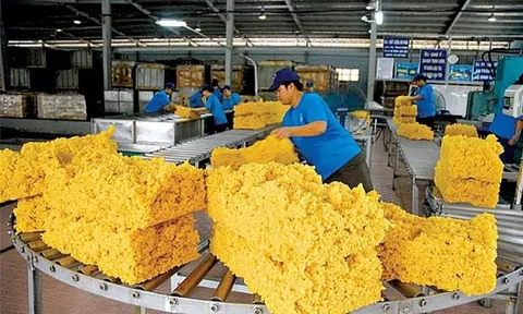 Việt Nam xuất khẩu cao su 8 tháng thu về 1,59 tỷ USD