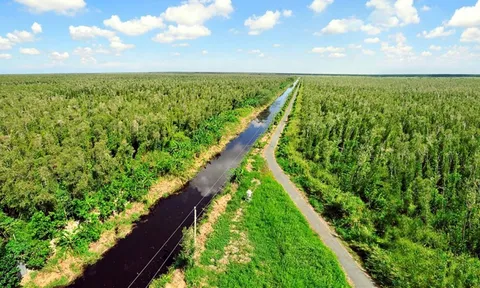 3 nhóm giải pháp giúp triển khai thị trường tín chỉ carbon