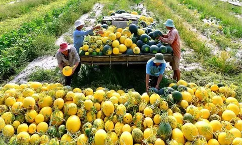 Tăng cường xúc tiến thương mại, quảng bá nâng tầm nông sản Việt