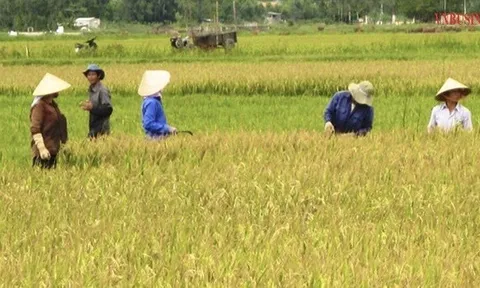 Quảng Bình có 45 HTX tiểu thủ công nghiệp, tạo việc làm hơn 2.000 lao động
