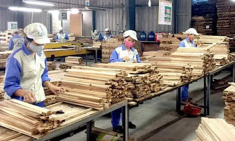 Nâng cao năng lực ứng phó phòng vệ thương mại cho doanh nghiệp Việt