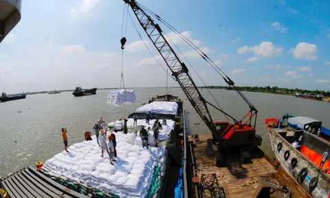 Doanh nghiệp trong chuỗi cung ứng lúa gạo khó tiếp cận nguồn vốn