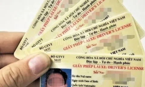 Trường hợp hợp nào phải đổi giấy phép lái xe trước 15/10?