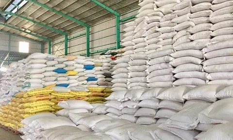 Indonesia sẽ nhập khẩu 1,5 triệu tấn gạo của Việt Nam và Thái Lan