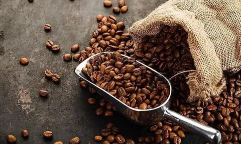 Giá xuất khẩu cà phê Việt Nam đạt mức kỷ lục