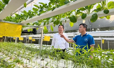 Tuyên Quang: Giảm áp lực lao động nhờ chuyển đổi số nông nghiệp