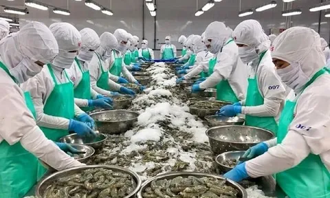 Xuất khẩu thủy sản sang Mỹ tháng 9 đạt 150 triệu USD