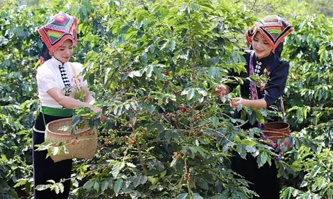 Du lịch trở thành ngành kinh tế mũi nhọn của Hà Giang