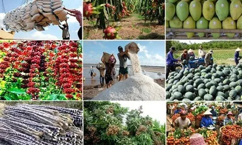 Nửa đầu tháng 10, xuất khẩu nông sản mang về hơn 1,2 tỷ USD