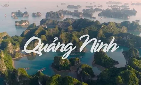 Quảng Ninh dẫn đầu về thu hút vốn FDI