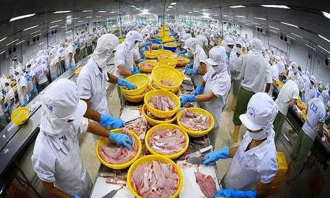 Kim ngạch xuất nhập khẩu đạt hơn 557 tỷ USD