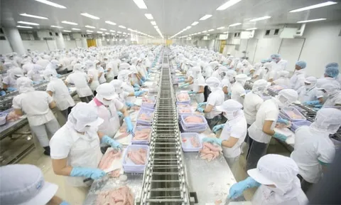 Cán cân thương mại của Việt Nam trong tháng 10: Xuất siêu 3 tỷ USD