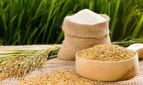 Xuất khẩu gạo của Việt Nam dự báo lập đỉnh 4,5 tỷ USD